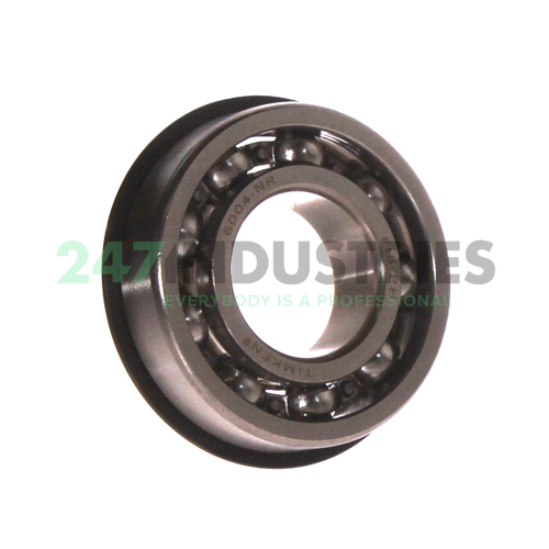 6020-NR Timken
