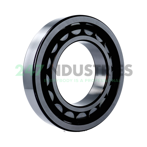 NU224ECP SKF Image 2