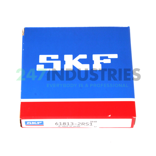 61813-2RS1 SKF Image 3