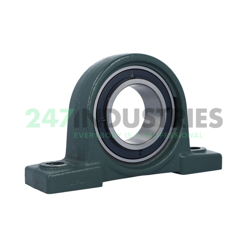 UKP217D1 NSK