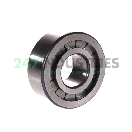 SL192306 INA Image 2