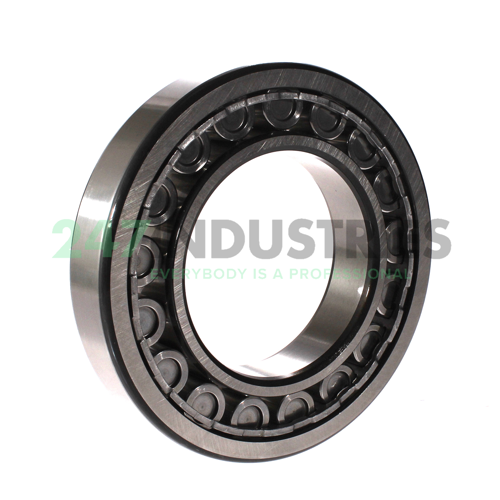 NU219ECJ SKF Image 2