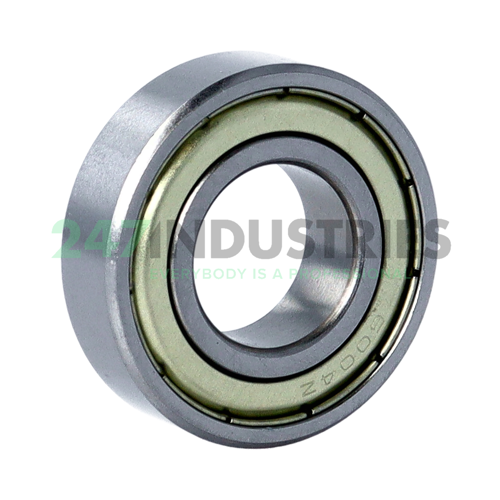 6004ZZ C3 FSY Image 2