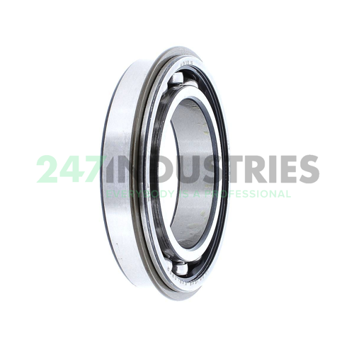 6010NR SKF Image 2