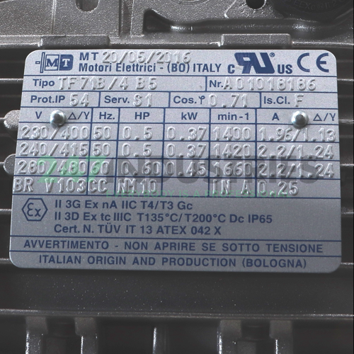 TF71B/4-B5 MT Motori Elettrici Image 2