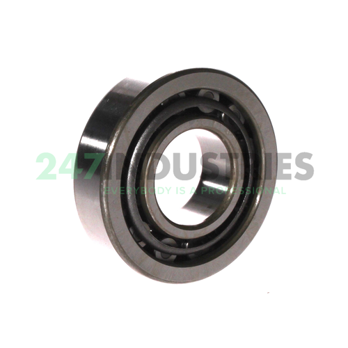 NU307 NTN Image 2