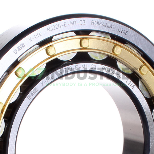 NJ220-E-M1-C3 FAG Image 2