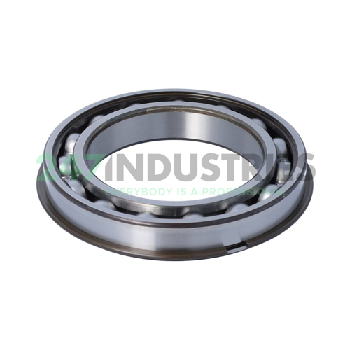 6020NR SKF Image 2