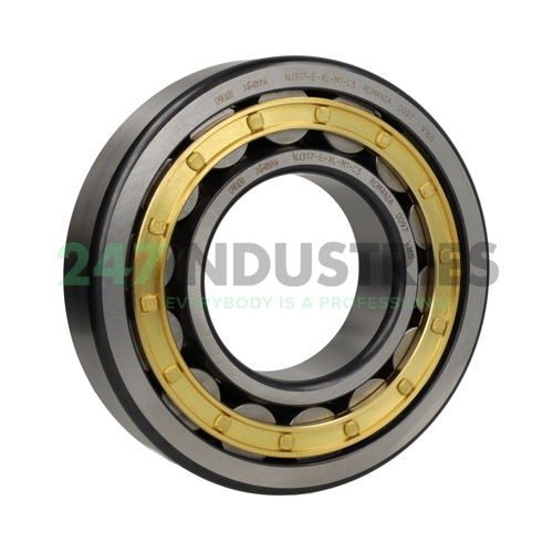 NJ317-E-XL-M1-C3 FAG