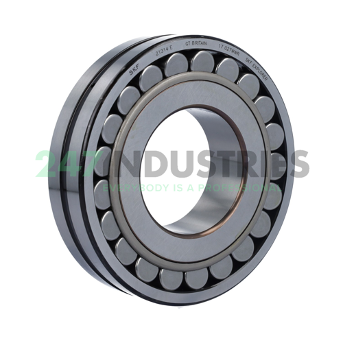 21314E SKF