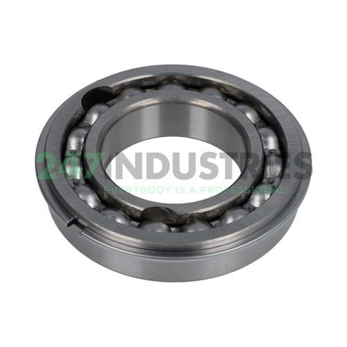 BL210ZNR NSK Image 2