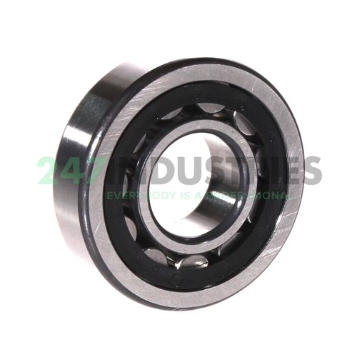 NU305-E-XL-TVP2-C3 FAG Image 2