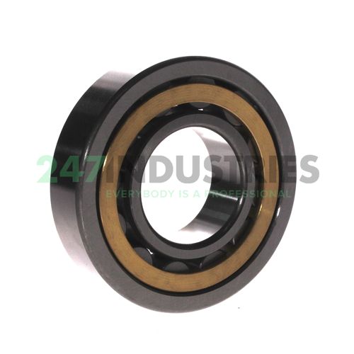 NU309EM C3 FBJ Image 2