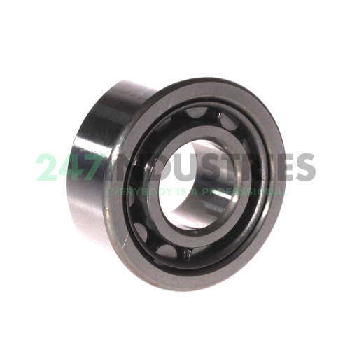 NU2306WC3 NSK Image 2