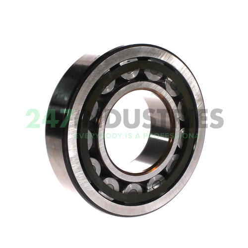 NU314ECP/C3VA301 SKF Image 2