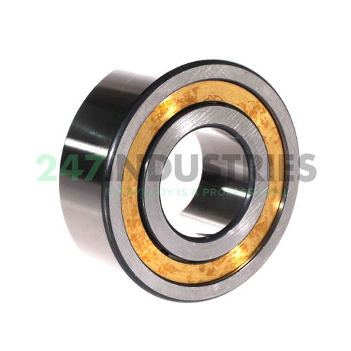 NJ2309-E-XL-M1A-C3 FAG Image 2