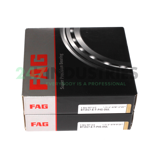 B71917-E-T-P4S-DUL FAG Image 2