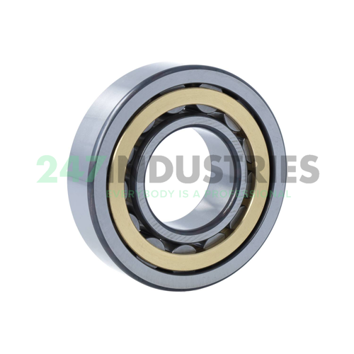 NU309-E-XL-M1-C4 FAG Image 2