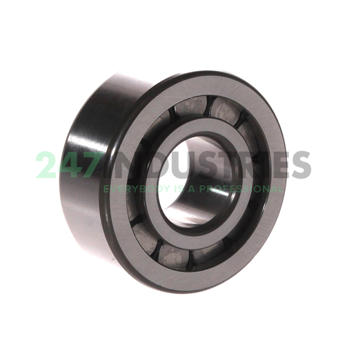 ZSL192305 INA Image 2