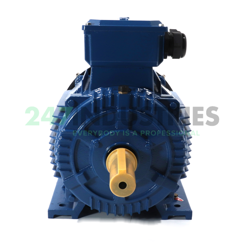 KAE2G160M-4B3E3K EMK Image 2