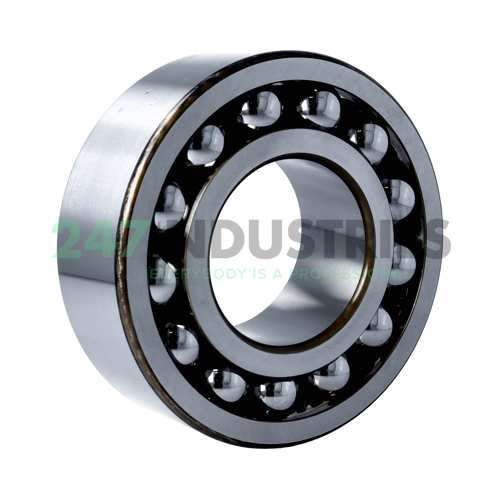 2315K C3 NSK Image 2