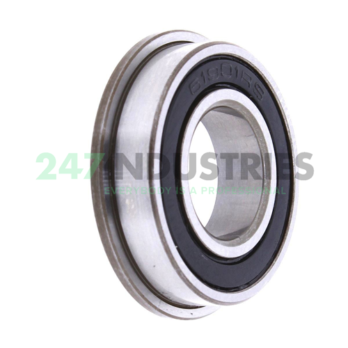 F61901 2RS Neutral