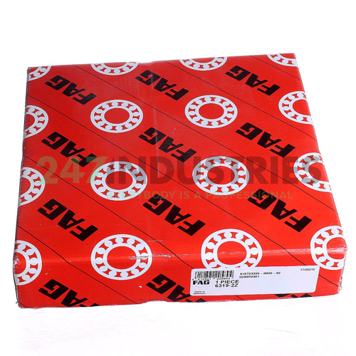 6319-2Z FAG Image 3