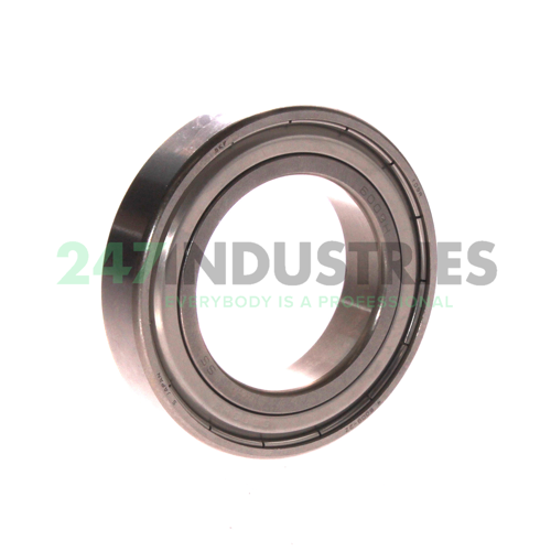 W6009-2Z SKF