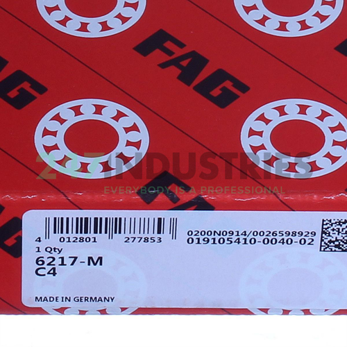 6217-M-C4 FAG Image 5