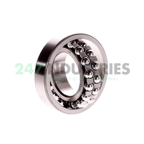 1209K C3 SNR Image 2