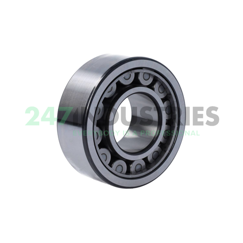 NJ2308ECJ/C3 SKF Image 2