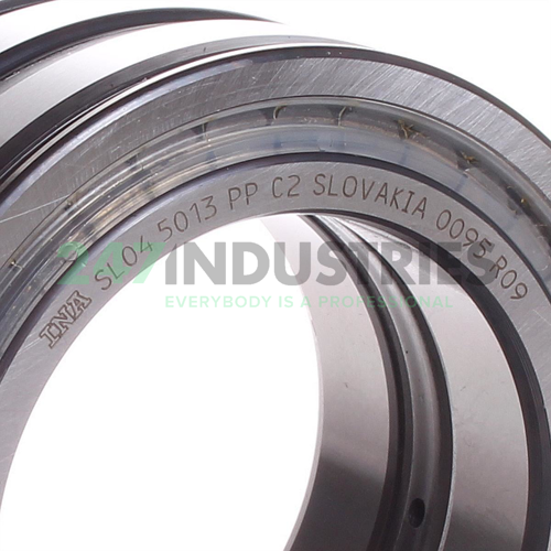 SL045013-PP-C2 INA Image 2