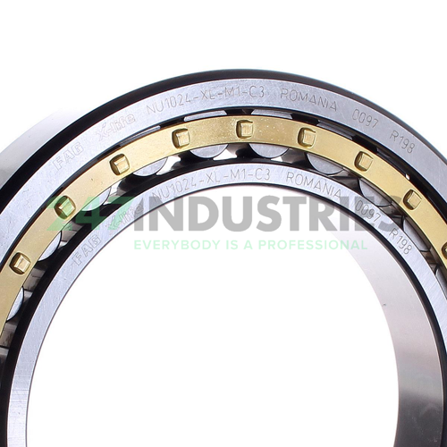 NU1024-XL-M1 FAG Image 2