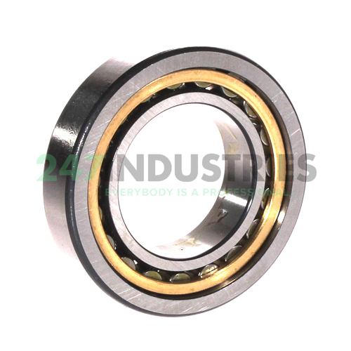 NU1007-XL-M1 FAG Image 2