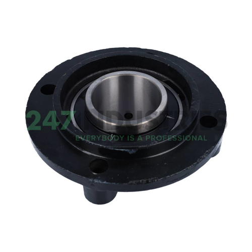 UCFC215 Felstrom Image 2