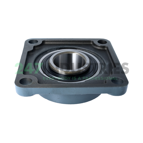 UCF313 Asahi Image 2