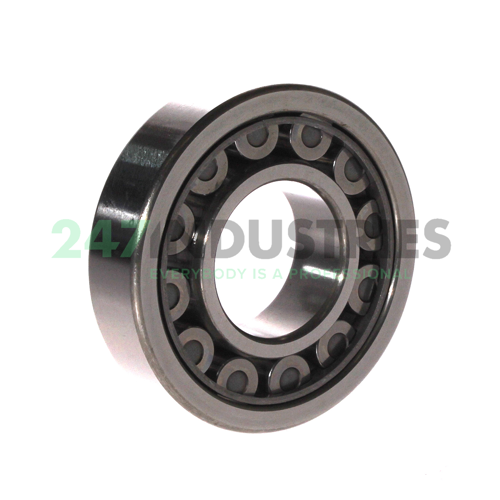 NU308EW C3 NSK Image 3