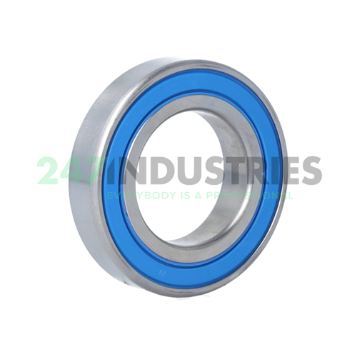 W6007-2RS1/VP311 SKF Image 2