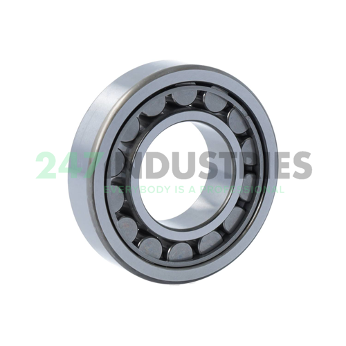 NU207EW C3 NSK Image 2