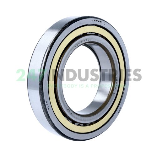 NUP217EMC3 NSK Image 2
