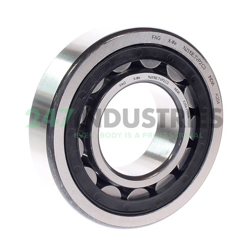 NJ310-E-TVP2-HLD-C3 FAG