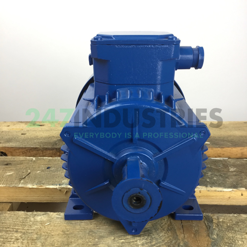 A4C0802A99517T Marelli Motori Image 4