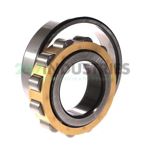 N312M/P63 SKF Image 3