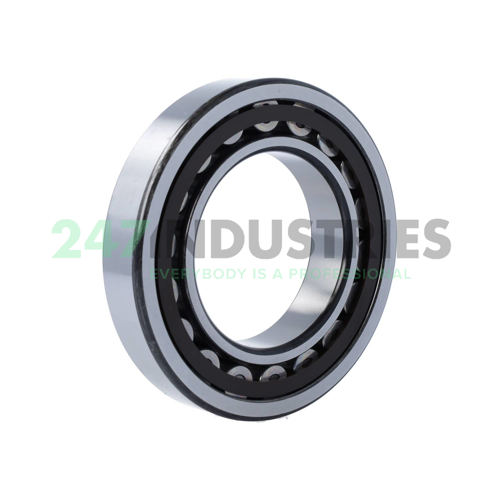 NU216ET C3 NSK Image 2