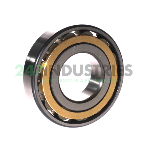 N310-E-XL-M1 FAG Image 2