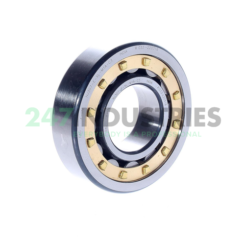 NJ307-E-XL-M1A-C3 FAG