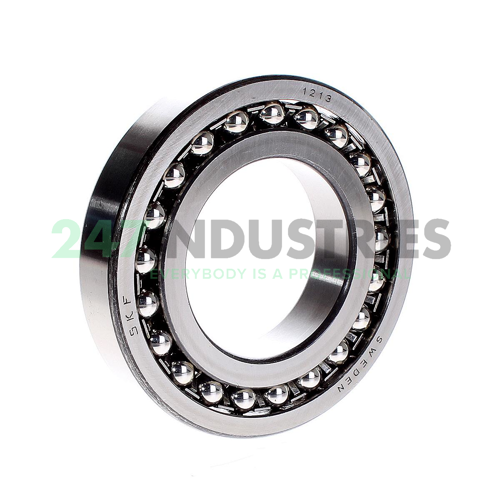 1213 SKF