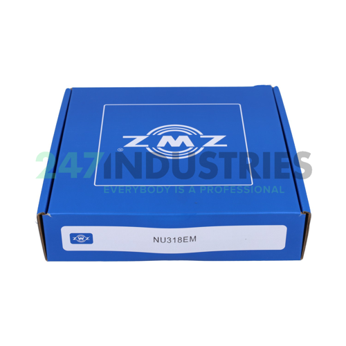 NU318EM ZWZ Image 3