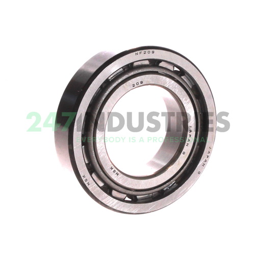 NF209W NSK