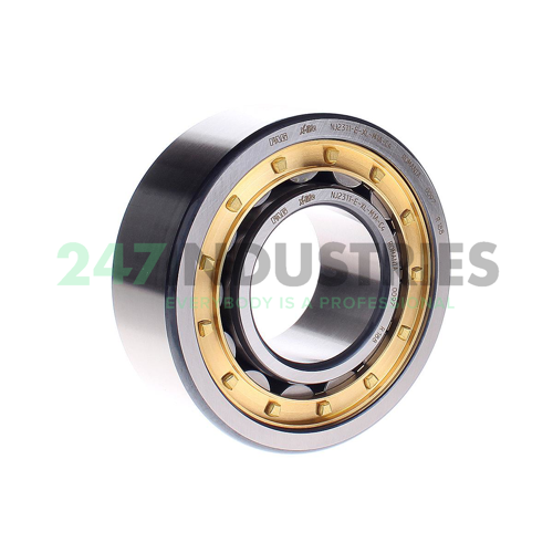 NJ2311-E-XL-M1A-C4 FAG